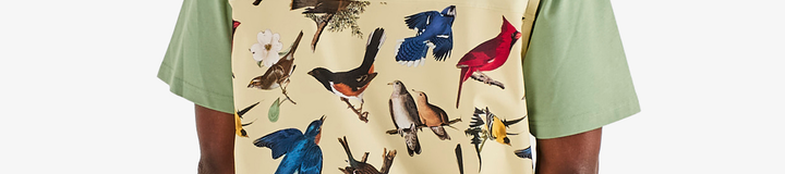 BIRDS OF GEORGIA MAGNOLIA PANT