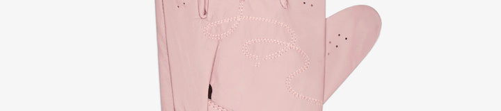 PALMETTO GLOVE