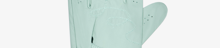 PALMETTO GLOVE