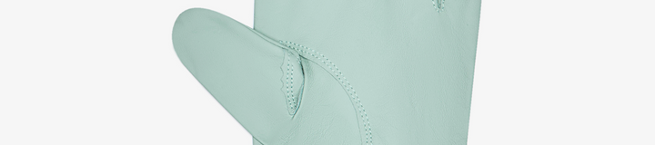 PALMETTO GLOVE