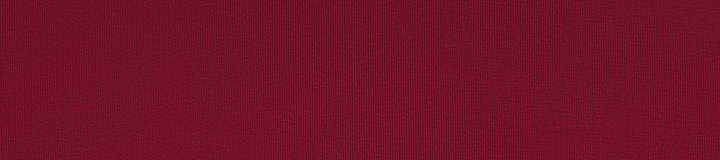 BETTINARDI RUGBY POLO