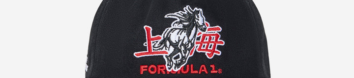 STALLION SNAPBACK
