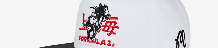STALLION SNAPBACK