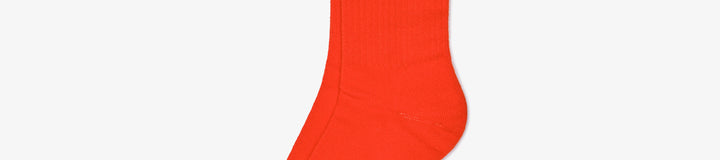 BON SCRIPT SOCK
