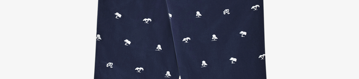 TORREY PINES PANT